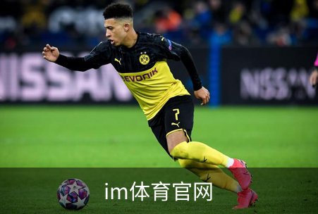 im体育官网介绍